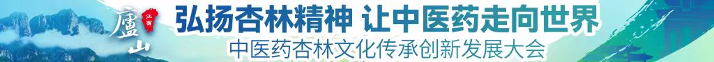 大鸡吧搞逼操逼老逼中医药杏林文化传承创新发展大会